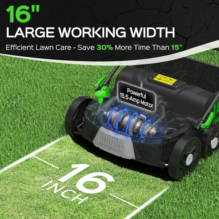 #1 Dethatching Is Not Mowing